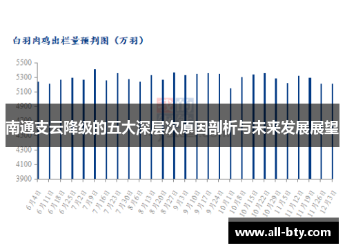 南通支云降级的五大深层次原因剖析与未来发展展望