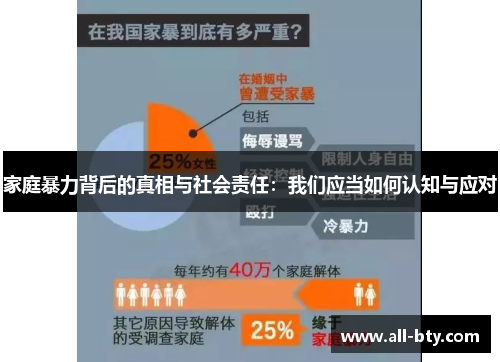 家庭暴力背后的真相与社会责任：我们应当如何认知与应对