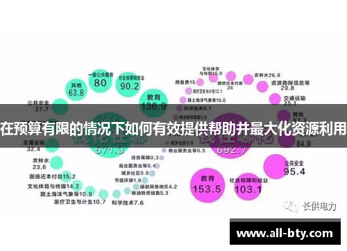 在预算有限的情况下如何有效提供帮助并最大化资源利用