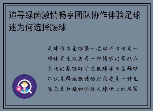 追寻绿茵激情畅享团队协作体验足球迷为何选择踢球