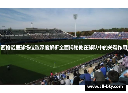 西格诺里球场位置深度解析全面揭秘他在球队中的关键作用