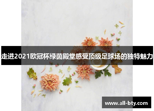 走进2021欧冠杯绿茵殿堂感受顶级足球场的独特魅力