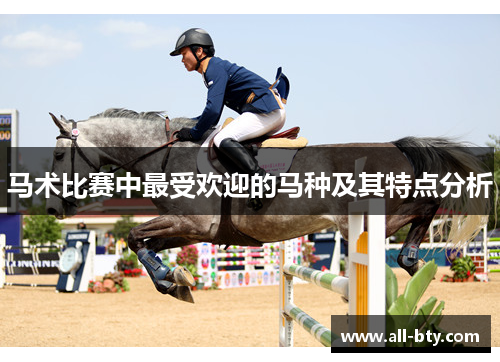 马术比赛中最受欢迎的马种及其特点分析